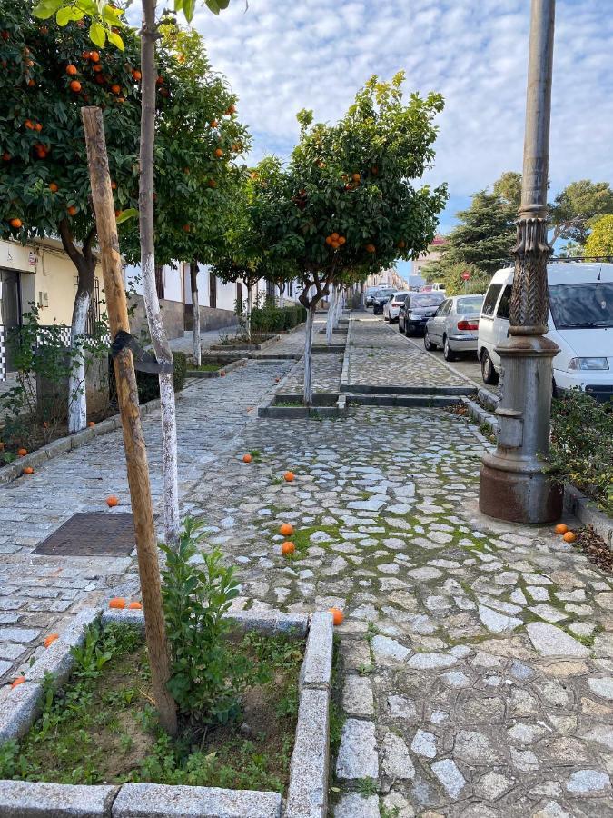 Sevilla. Gerena Casa Rural Para Familia O Profesionales Екстериор снимка