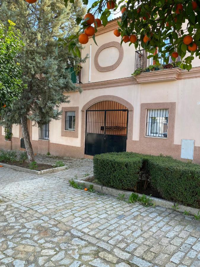 Sevilla. Gerena Casa Rural Para Familia O Profesionales Екстериор снимка