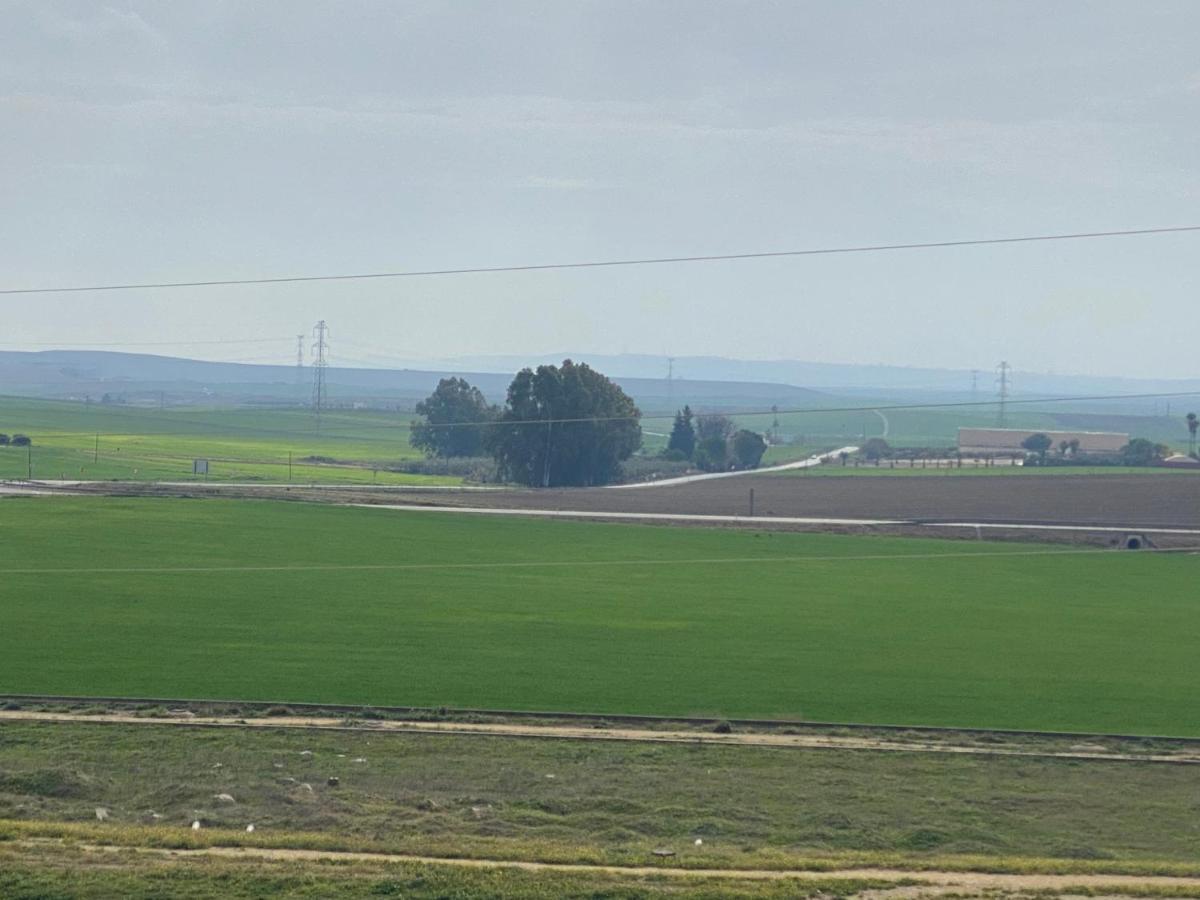 Sevilla. Gerena Casa Rural Para Familia O Profesionales Екстериор снимка